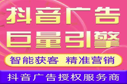 抖音信息流代理在电商行业的应用案例分析